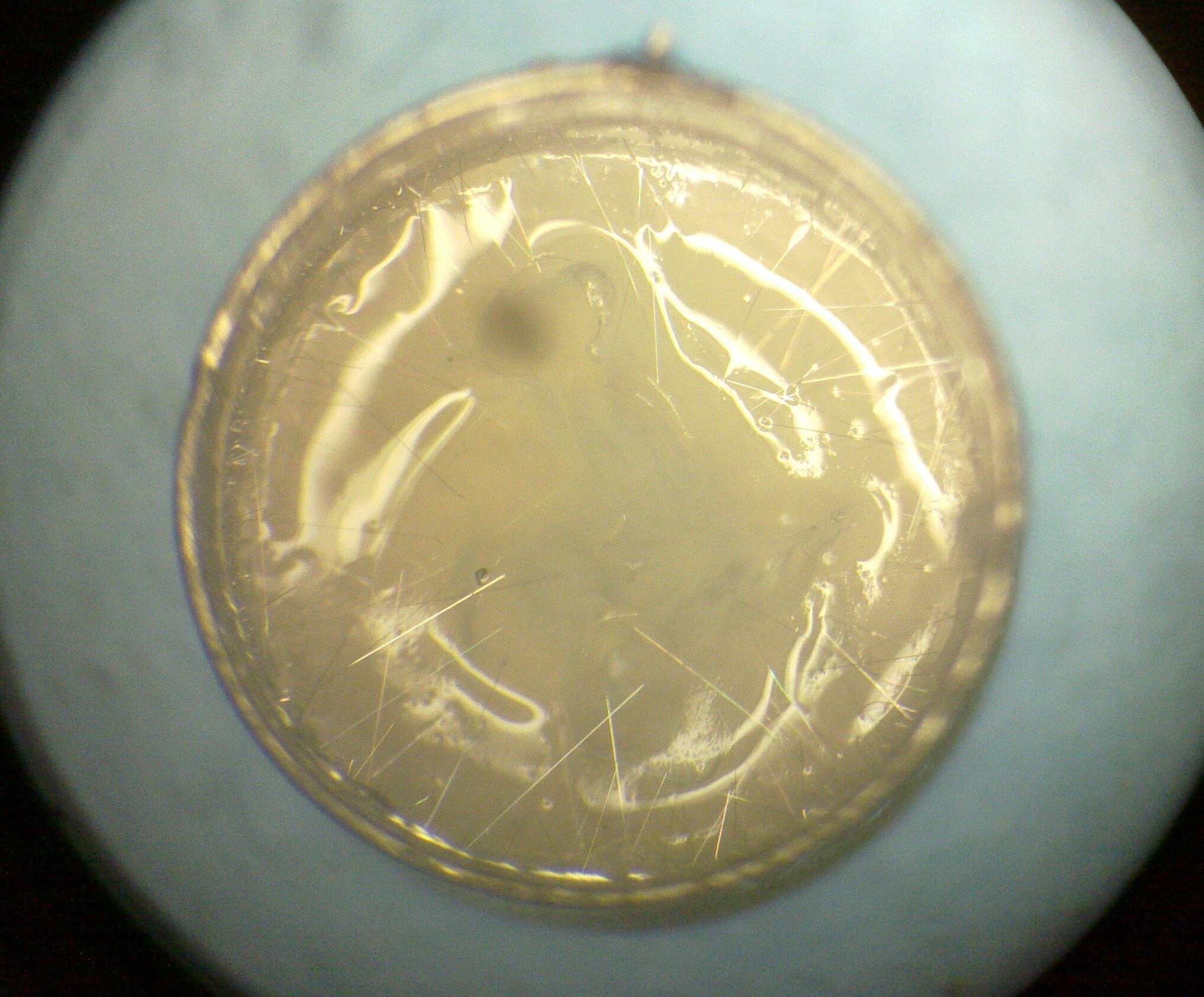 click to enlarge Tin Whiskers Penetrating The Gel
On The Inside Of An AF117 Transistor Can